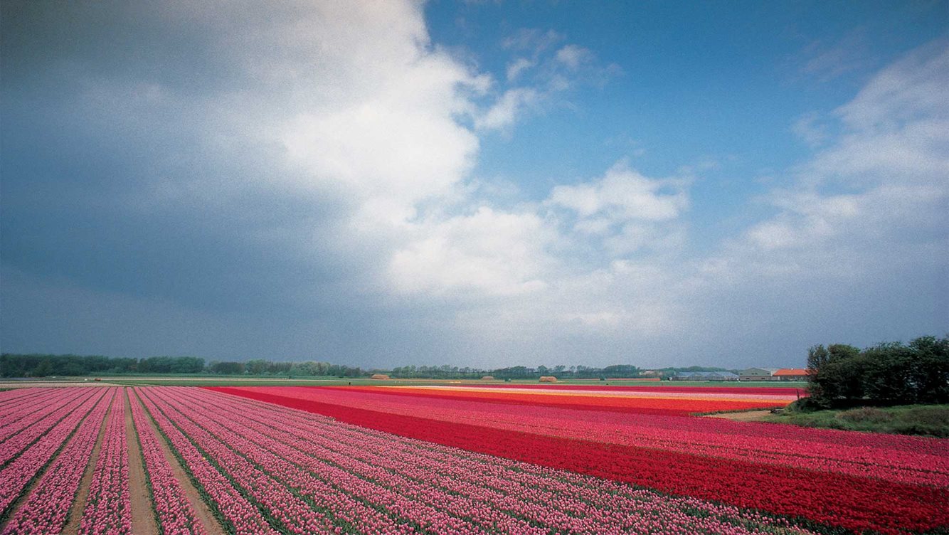 Kom naar zee in de herfst!