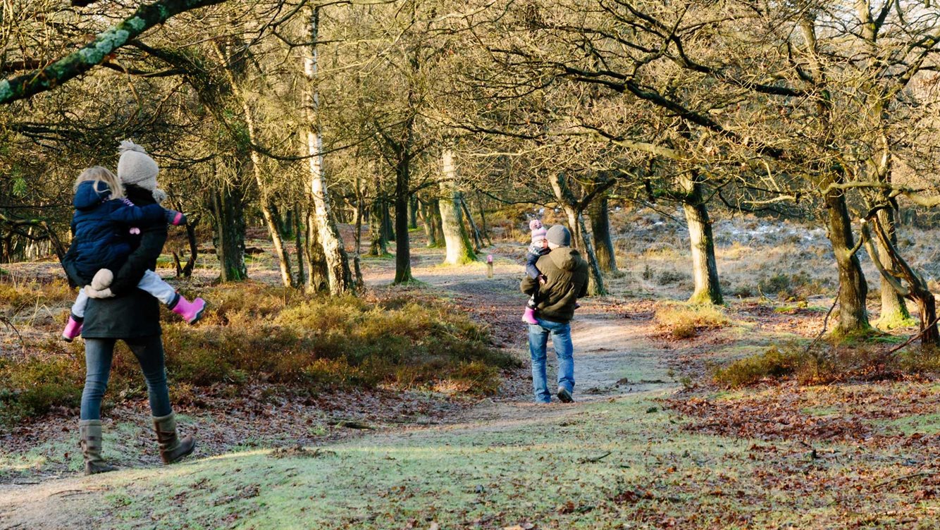 Voorjaarsvakantie bos