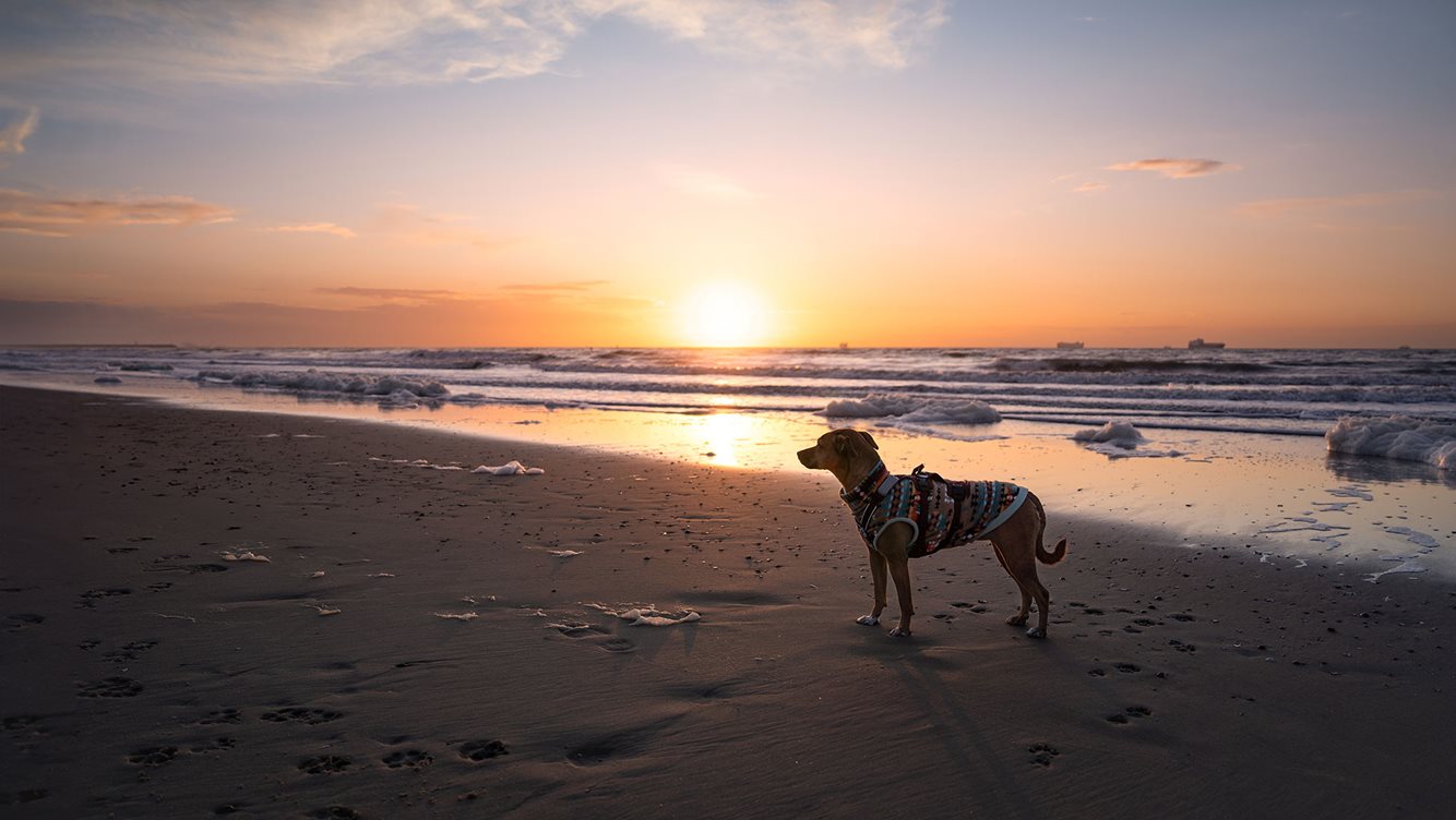 Winnaars molecaten fotowedstrijd 2023 10