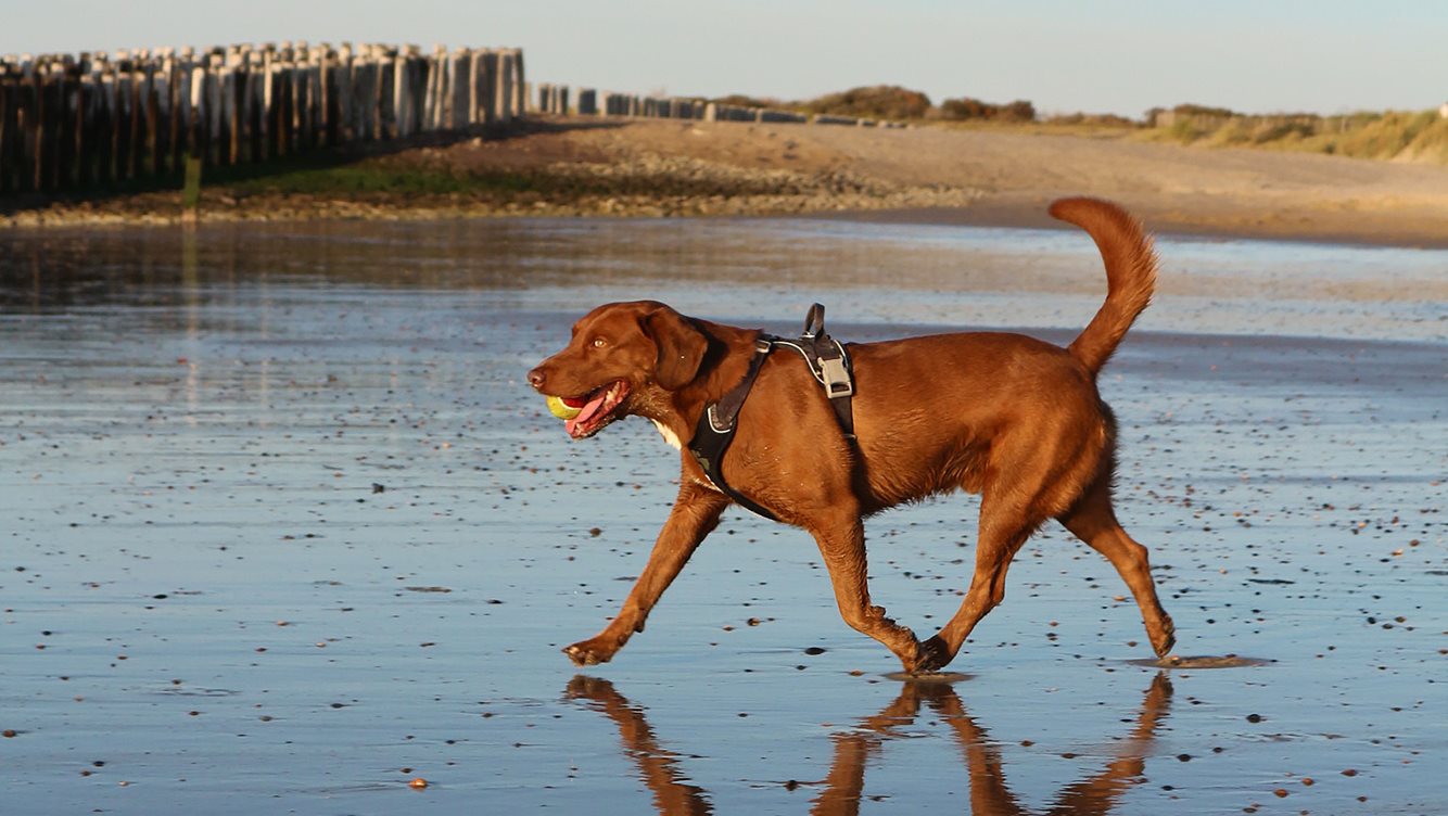 Winnaars molecaten fotowedstrijd 2025 10