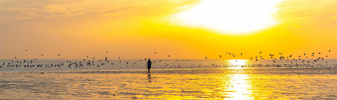 Molecaten Park Kruininger Gors 24