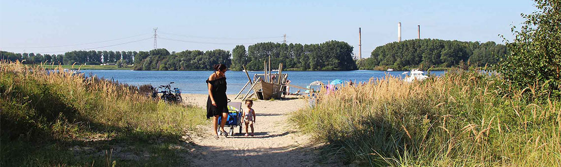 Molecaten Park Kruininger Gors 26