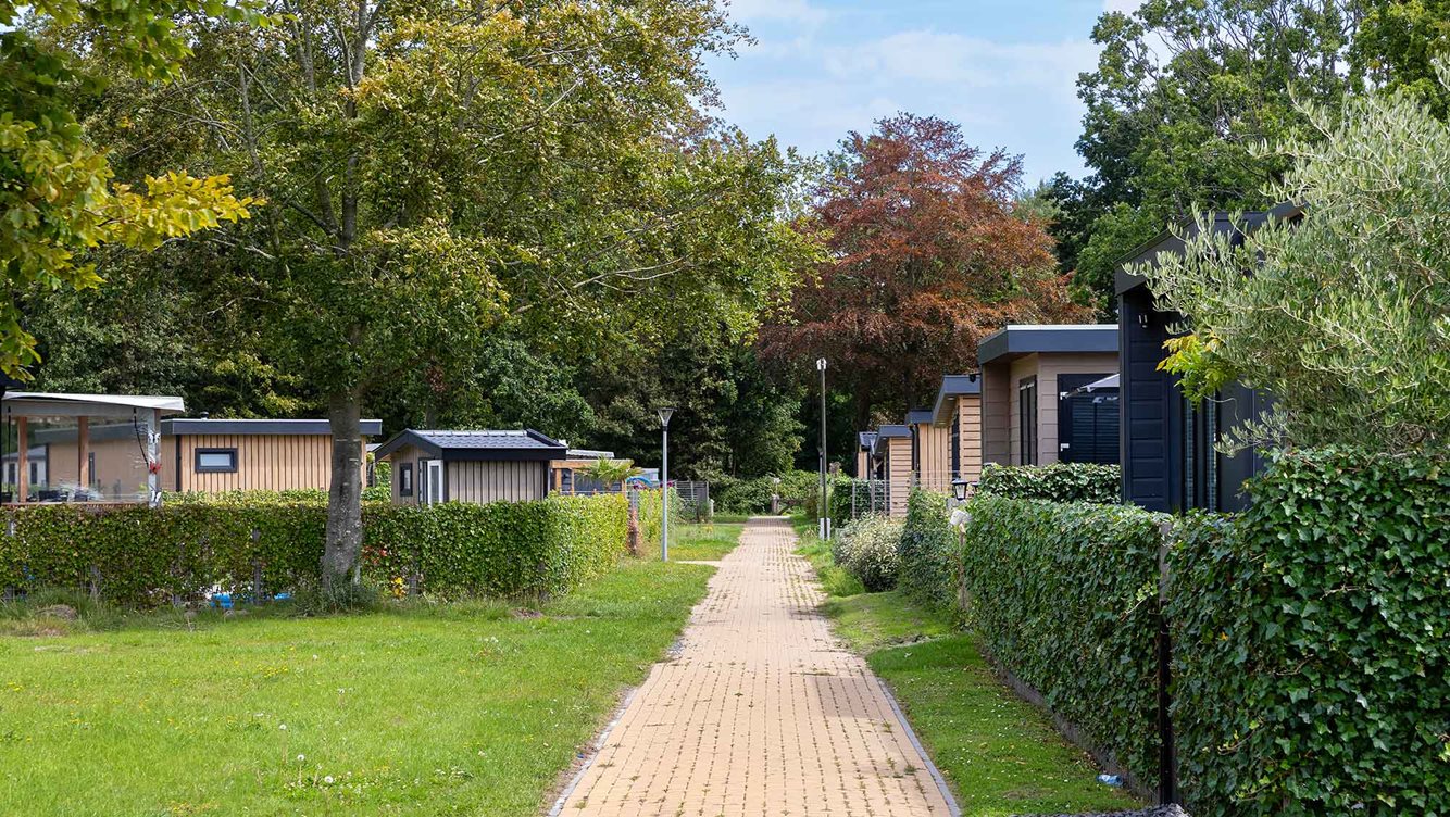 Vaste staanplaats Molecaten Park Kruininger Gors 14