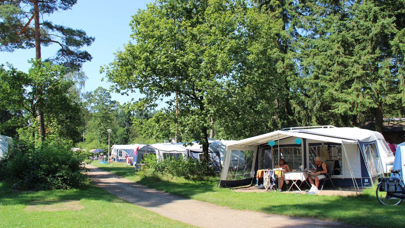 Seizoenplaats kamperen Molecaten Park Landgoed Ginkelduin 03
