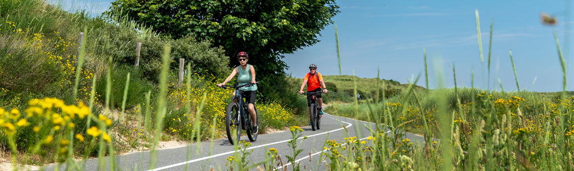 Molecaten Park Noordduinen 15b