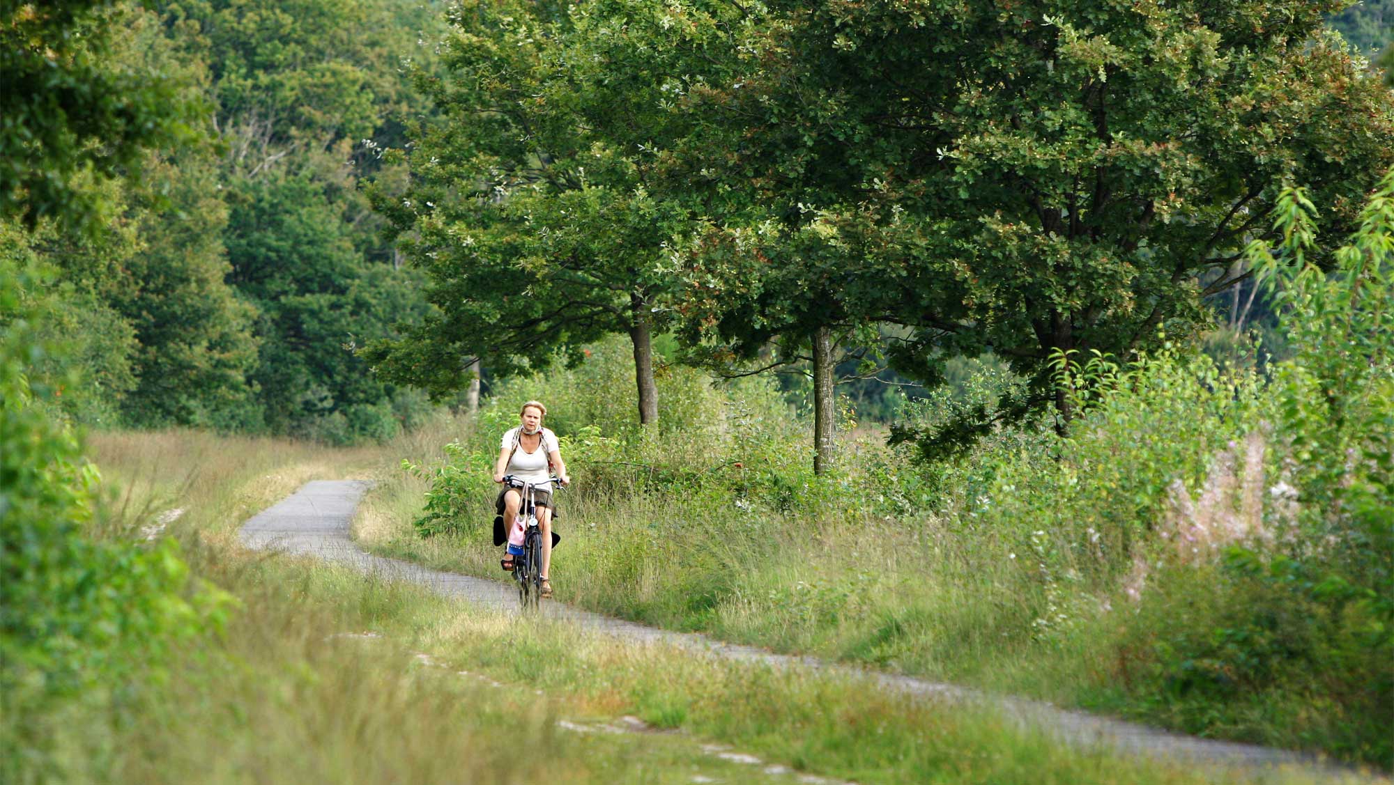 Omgeving Molecaten Park Kuierpad Drenthe 03 fietsen