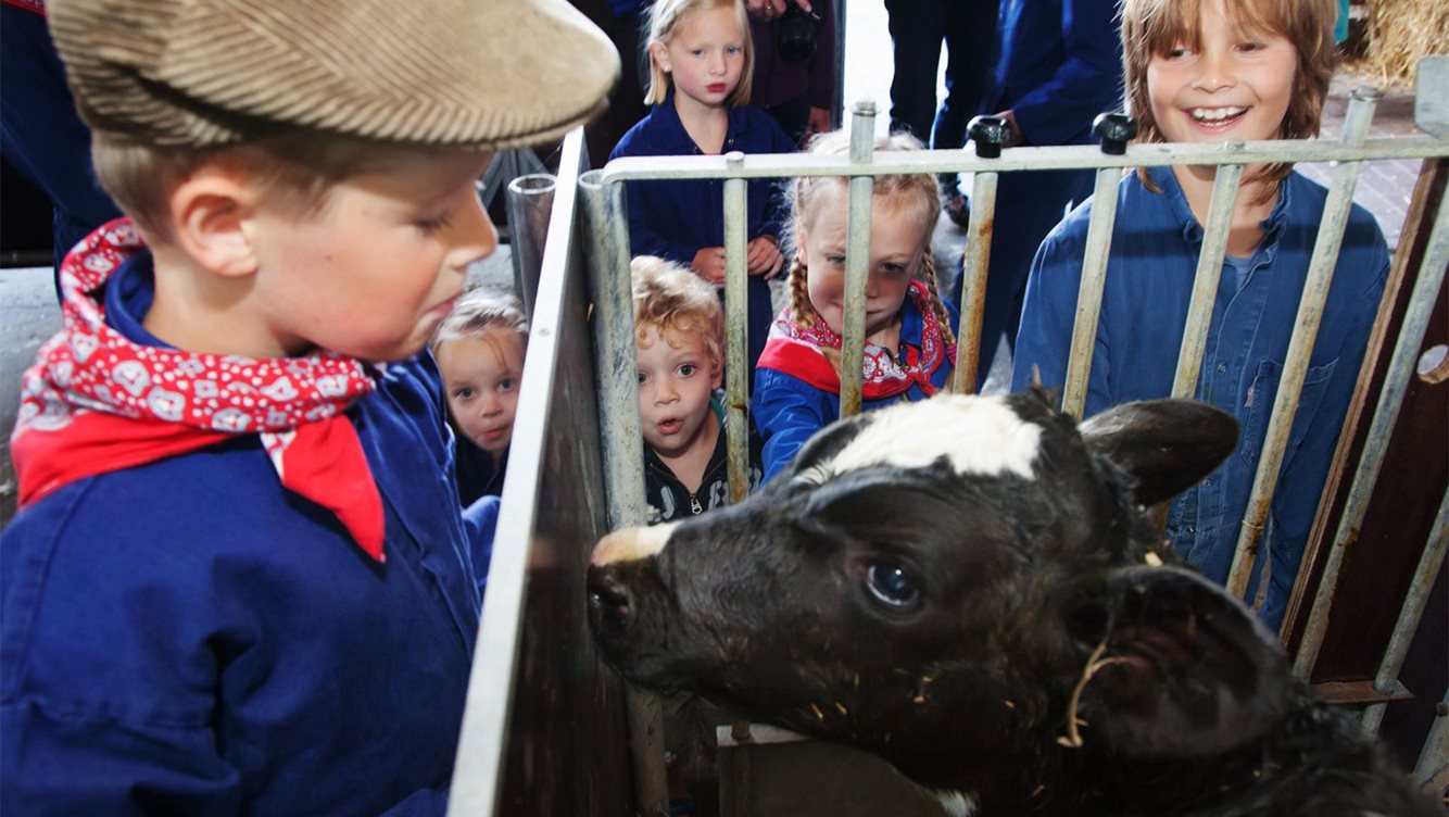 BoerderijNieuwWeper 1
