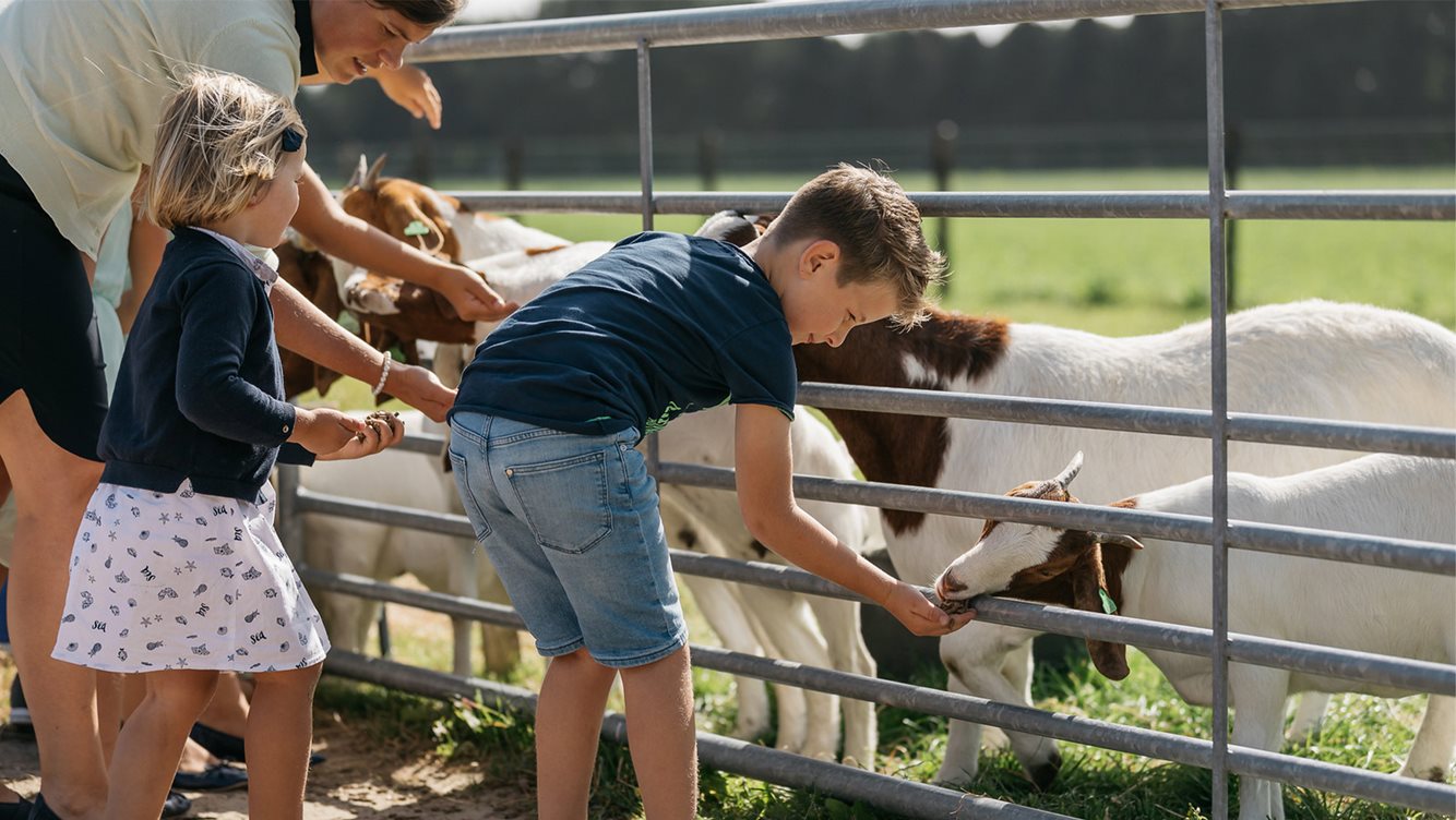 Geitenboerderij De Mekkerstee 1