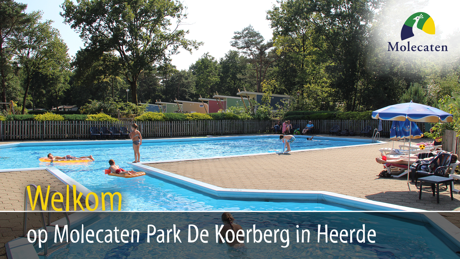 Molecaten Park De Koerberg in Heerde 2